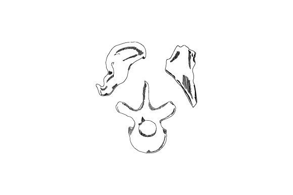 Artifacts - Bones, Sketch for Crafts and School Amp