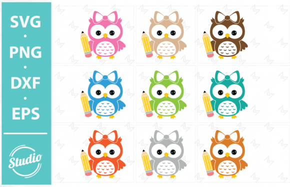 Owl, School Owl, Bird Svg for Crafts and Graphics